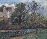 Camille Pissarro The orchard at Maubuissson,Pontoise Le verger a Maubuisson,Pontoise oil painting